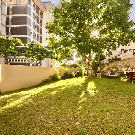 كويمبرا Vila Julieta Guesthouse المظهر الخارجي الصورة